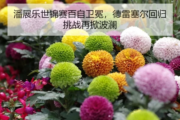 潘展乐世锦赛百自卫冕，德雷塞尔回归挑战再掀波澜