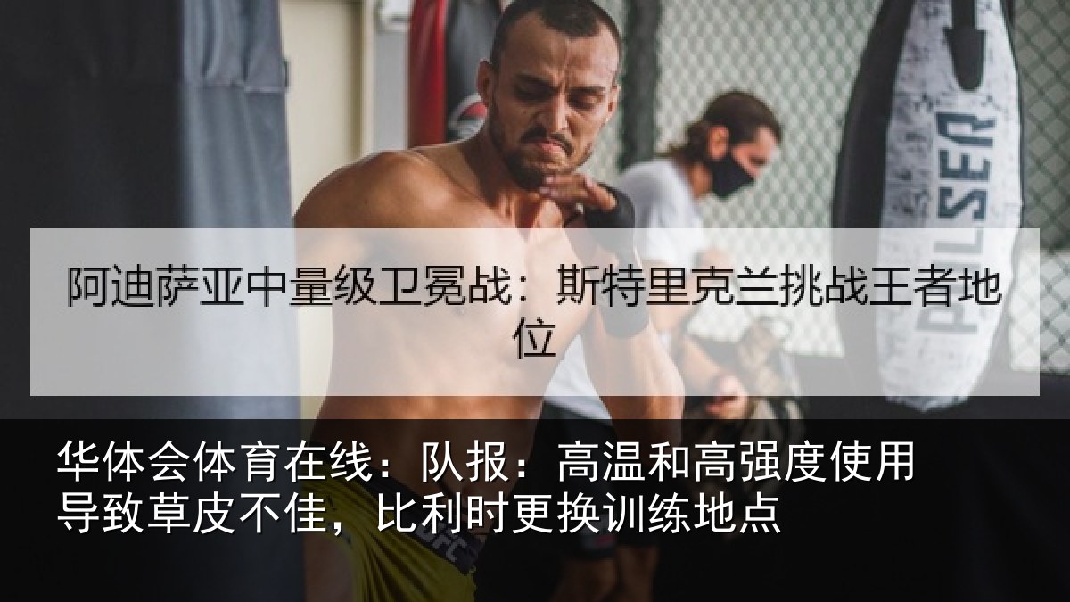 华体会体育在线:队报:高温和高强度使用导致草皮不佳,比利时更换训练地点