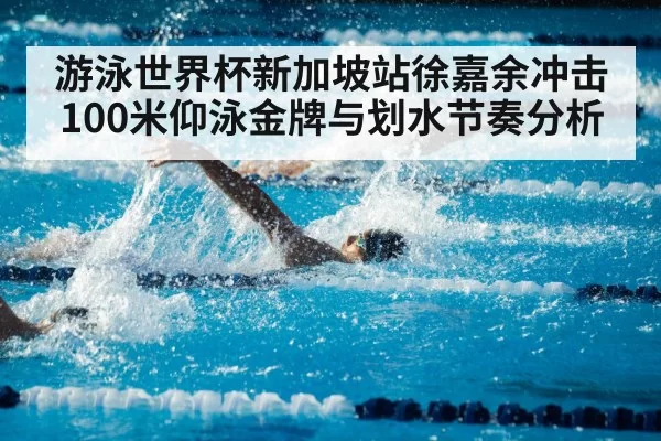 游泳世界杯新加坡站徐嘉余冲击100米仰泳金牌与划水节奏分析
